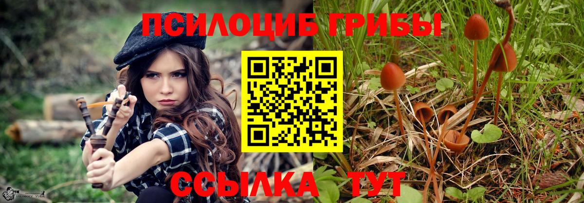 Псилоцибиновые грибы GOLDEN TEACHER Жигулёвск