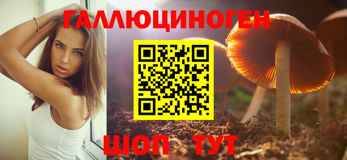 Жигулёвск  Псилоцибиновые грибы Psilocybe  Вход с VPN 